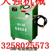 6DSB系列電動試壓泵?自來水管路檢測管道打壓泵?品質(zhì)保證