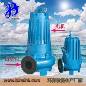 Q0.75 廠家直銷 電動鑄鐵環(huán)保污水處理 排污泵