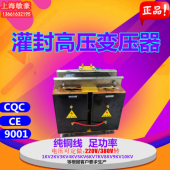 定制環(huán)氧灌封升壓高壓變壓器220V380V轉(zhuǎn)1KV2KV3KV5KV6KV8KV10KV等