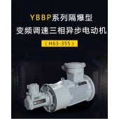 YBBP系列隔爆型變頻調(diào)速三相異步電動機（H63-355）