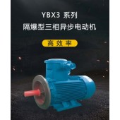 YBX3 系列高效率隔爆型三相異步電動機