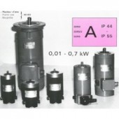 RADIO-ENERGIE 變速電機 A系列